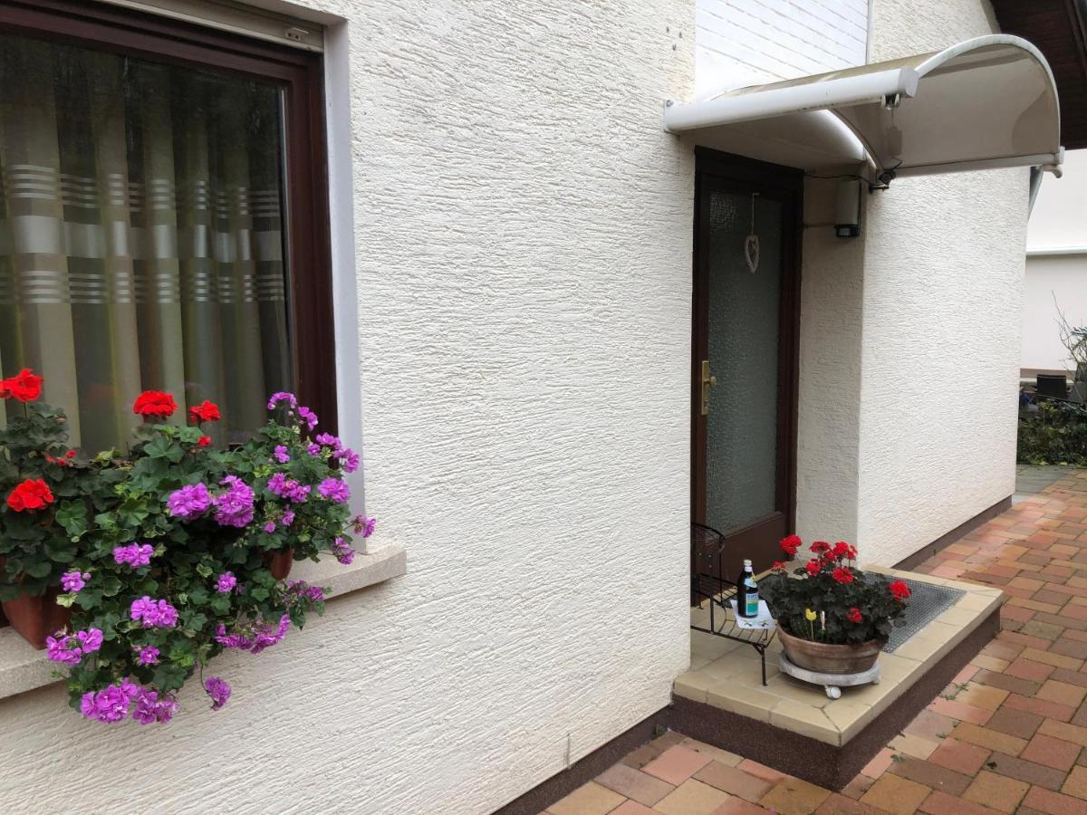 Ferienwohnung Heidelberg Ze-2020-7-Wz Exteriér fotografie